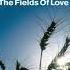 ATB Feat York The Fields Of Love York Remix 2000