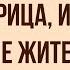 Чёрная курица или подземные жители Краткое содержание