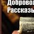 Аудиокнига История Добровольческая армия Рассказы воспоминания Юрий Рейнгардт