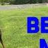 AKC Beginner Novice Obedience BN Exercises Explained And Demonstrated