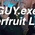 GUY Exe Superfruit Lyrics