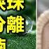 黃鶯鶯經典精選 2 内附歌詞 01 愛的淚珠 02 只有分離 03 呢喃 04 夢不到你