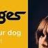 The Stooges I Wanna Be Your Dog Official Audio