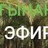 Құрма бағынан тікелей эфир Нұрлан имам тікелей эфир прямой қажылық уағыз сұрақ жауап сүре