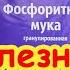 ЭТИ УДОБРЕНИЯ БЕСПОЛЕЗНЫ если в почве не хватает Что добавить в грунт чтобы накормить растения