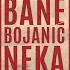 Bane Bojanic Neka Official Video 2019