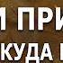 АСМР частота богатства денег изобилия просто слушайте