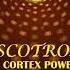 Cortex Power Discotronic Nu ItaloDisco