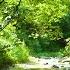 The Sound Of Water In A Cool Green Valley A Cool Summer Valley In A Deep Forest ASMR