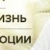 Карма семьи Обида на жизнь Стресс и эмоции