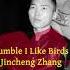 Jincheng Zhang Lament I Like Birds Official Instrumental Background Music