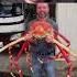 The Biggest Crab On The Earth