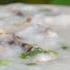 Make Congee Like The Cantonese Shunde Style