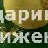 Мандариновое движение новогодний флешмоб от хореографического коллектива Движение