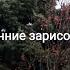 Видеозарисовки Поздняя осень 2020 год Эльбан