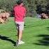 DEER B J ON THE GOLF COURSE PLEASE SUBSCRIBE TO MY CHANNEL VIEW CONTENT