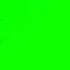 Паук Футаж хромакей на зеленом фоне Footage On Green Background Chroma Key