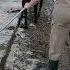 Girl Cleans The Manure In The Stem For The Cows