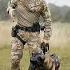 K9 Dog Tactical Dogtraining K9 Dog