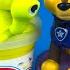 Paw Patrol Story Stop Motion With Playdoh Play Chase Marshall Rubble Skye Ryder And Zuma