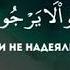 Абдурахман аль Масад Сура Aн Наба Аят 27 35