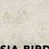 Sia Bird Set Free Traduzione In Italiano