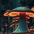 The Journey To The Mushrooms Universe Continues InfectedMushroom IM PsyTrance