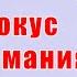 Как фокус внимания меняет нашу жизнь Наталья Волкова 16