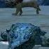 Furious Crocodile VS Angry Savanna And Elderly Lion Boss Fight Ultimate Savanna Simulator