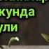 Зайтун ёғи билан 3 кунда сеҳрдан ва Жинларнинг зиёнидан қутулиш усули