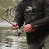 Perch Fishing With A Spinning Rod Biting One After Another