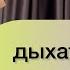 ГИМНАСТИКА СТРЕЛЬНИКОВОЙ без разговоров и пауз 1 подход СЕКРЕТ укрепления ИММУНИТЕТА и ОЗДОРОВЛЕНИЯ