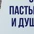 Эдвадр Уэлч Обучение пастырской заботе и душепопечению часть 1 Проповедь 2022