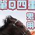 頭威頭勢第一場 單Q四重彩雙膽推介 鬼鼠馬房搏你唔信 用人方面露狐狸尾 MerryChristmas 26 12谷草c 3跑道