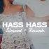 Hass Hass Slowed Reverb Diljit Dosanjh X Sia