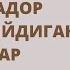 ХОМИЛАДОР АЁЛ УЧУН ДУО ХОМИЛАНИ ХАФВСИЗЛИГИНИ АЛБАТТА ЭШИТИНГ Homilador Ayollar Uchun Duo 1