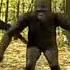 Alex Ferrari Bara Bere Ft Dancing Gorillas