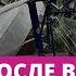 В Юрмале повалены сотни деревьев разрушен новый парк