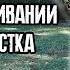 Полезные покупки и наши успехи в облагораживании участка