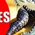 CROCODILES FOR KIDS Interesting Crocodile Facts For Children Kindergarten And Preschoolers