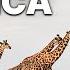 The Life In Africa WILDLIFE DOCUMENTARY Cradle Of Humanity