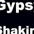 Karaoke Gypsy Shakira No Guide Melody Instrumental