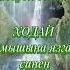 Хэерле кич Дуслар Анвар Нургалиев Кадерен белик