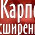 Тема Карпова 2 расширенная карпов