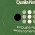 Qualia Qualia Nation Original Mix