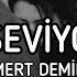 Mert Demir Seni Seviyorum Lyrics Sözleri