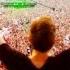 Tomorrowland 2013 Official Aftermovie