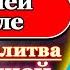 Псалом Молитва для хорошей торговли купить продать товар помощь в делах на работе Псалом 81 молитвы