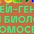 Квир Просвет 2 серия Гей ген и биология гомосексуальности 18