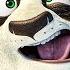 KUNG FU PANDA 4 Trailer Italiano 2024 Animazione